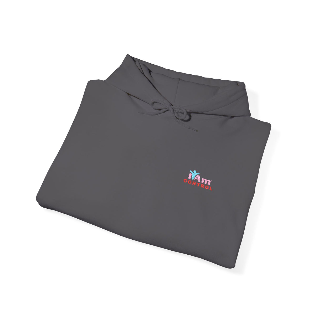 Embroidered 'I Am Control' Affirmation Empowerment Hoodie