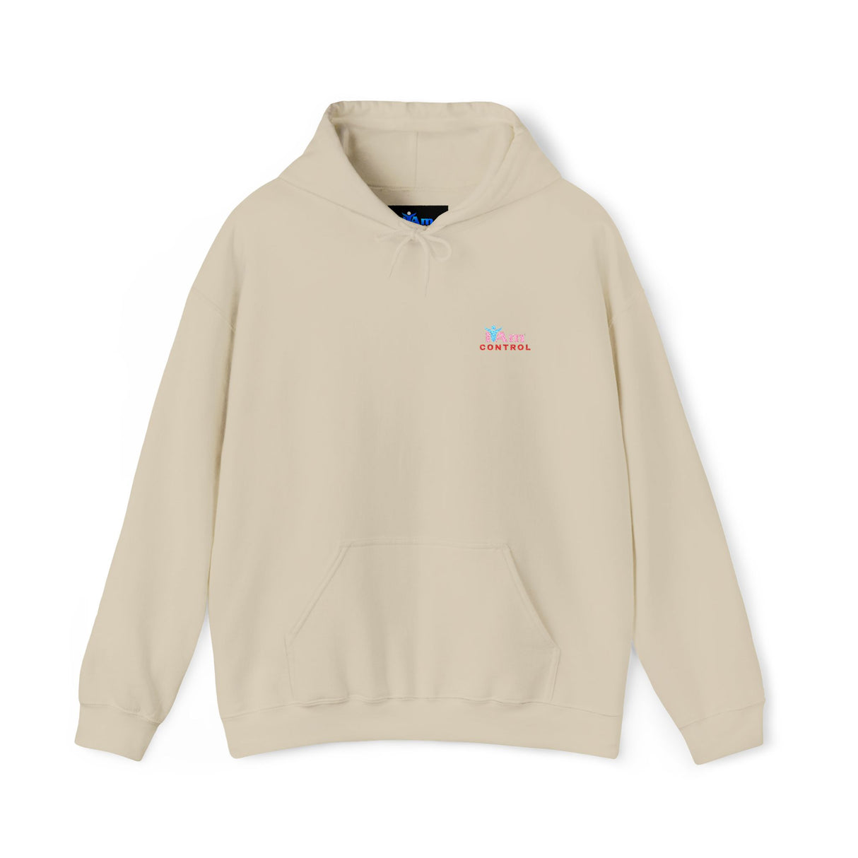Embroidered 'I Am Control' Affirmation Empowerment Hoodie