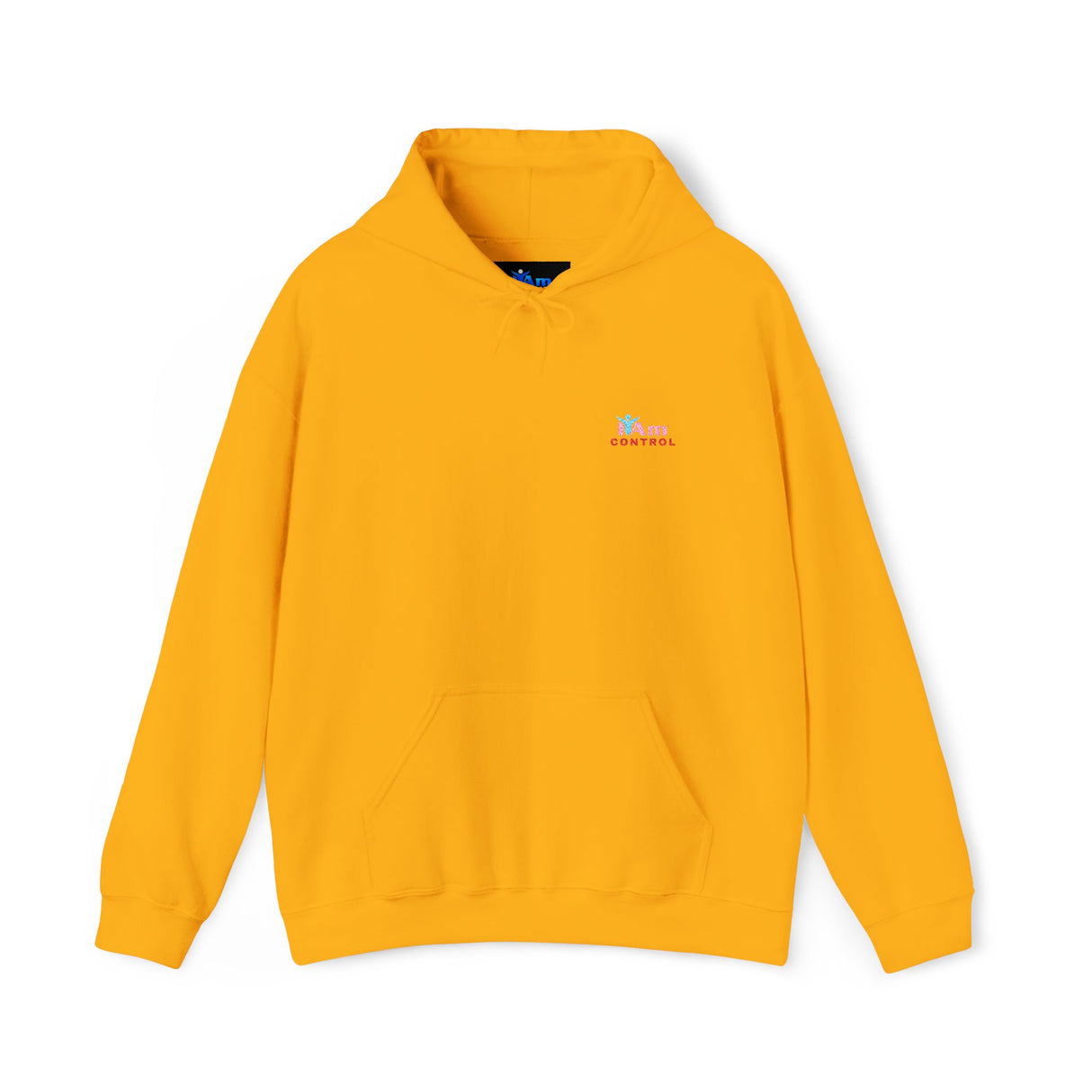 Embroidered 'I Am Control' Affirmation Empowerment Hoodie
