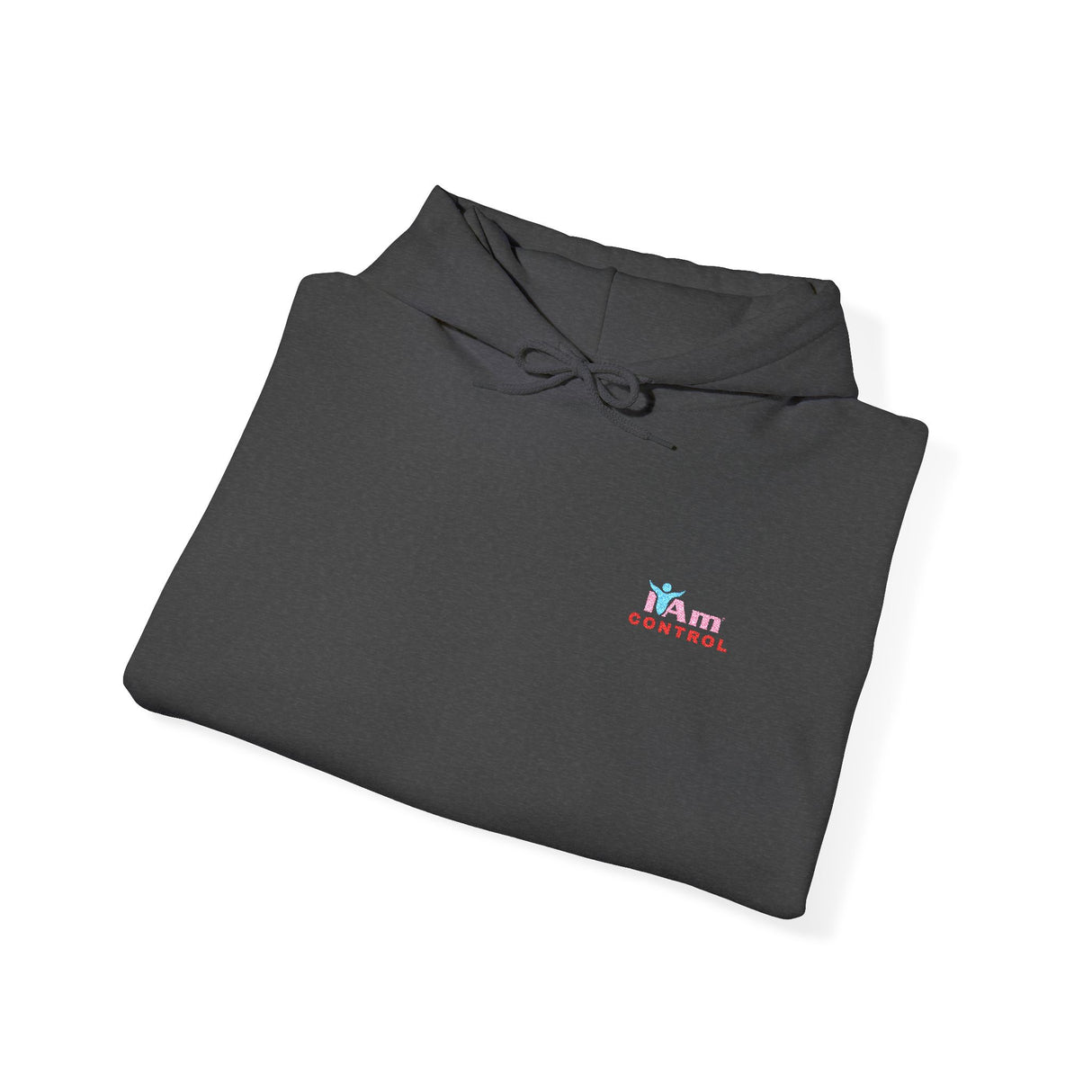 Embroidered 'I Am Control' Affirmation Empowerment Hoodie
