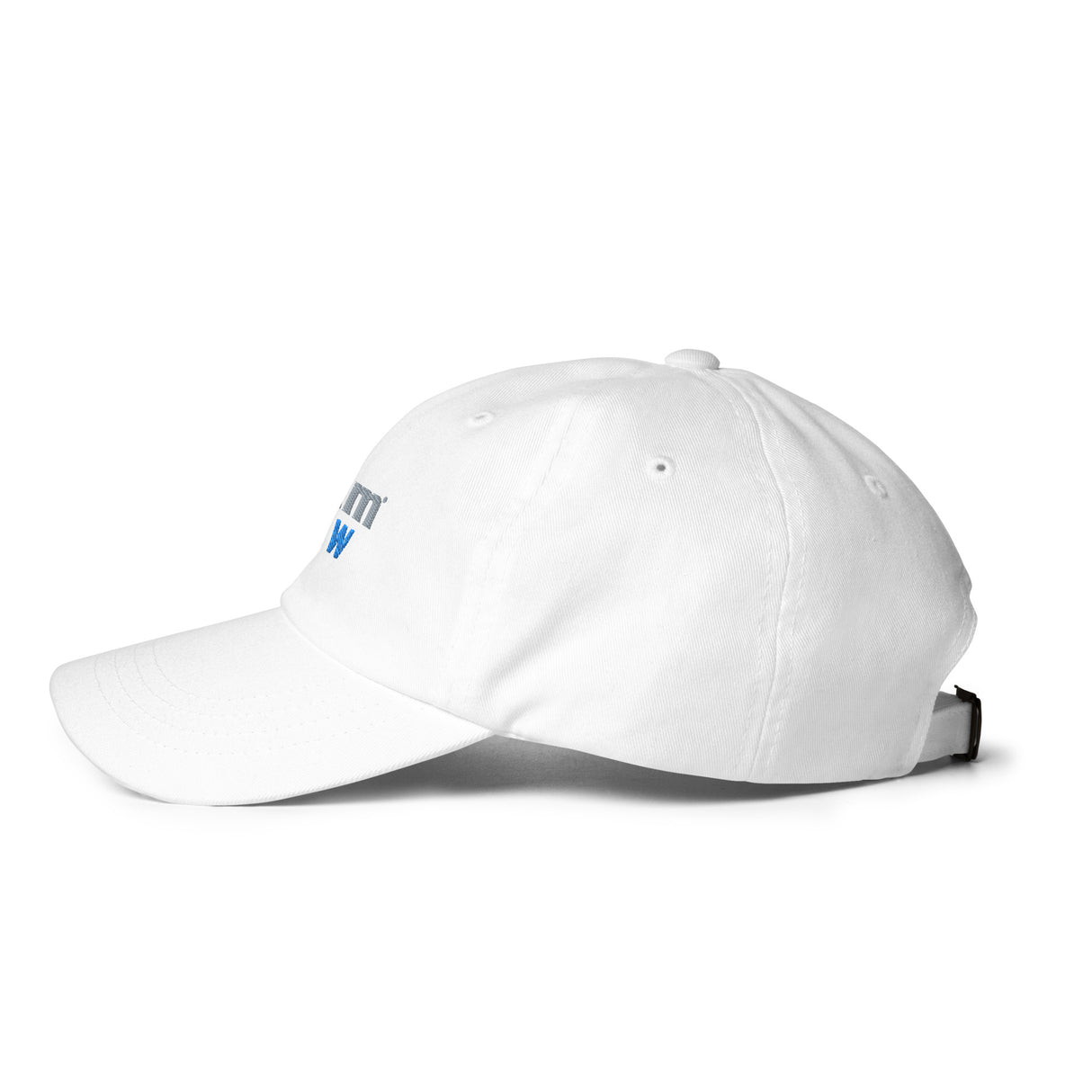 "I Am Law" Self-Empowerment Affirmation Dad hat